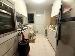The Santorini (D18), Condominium #613229281
